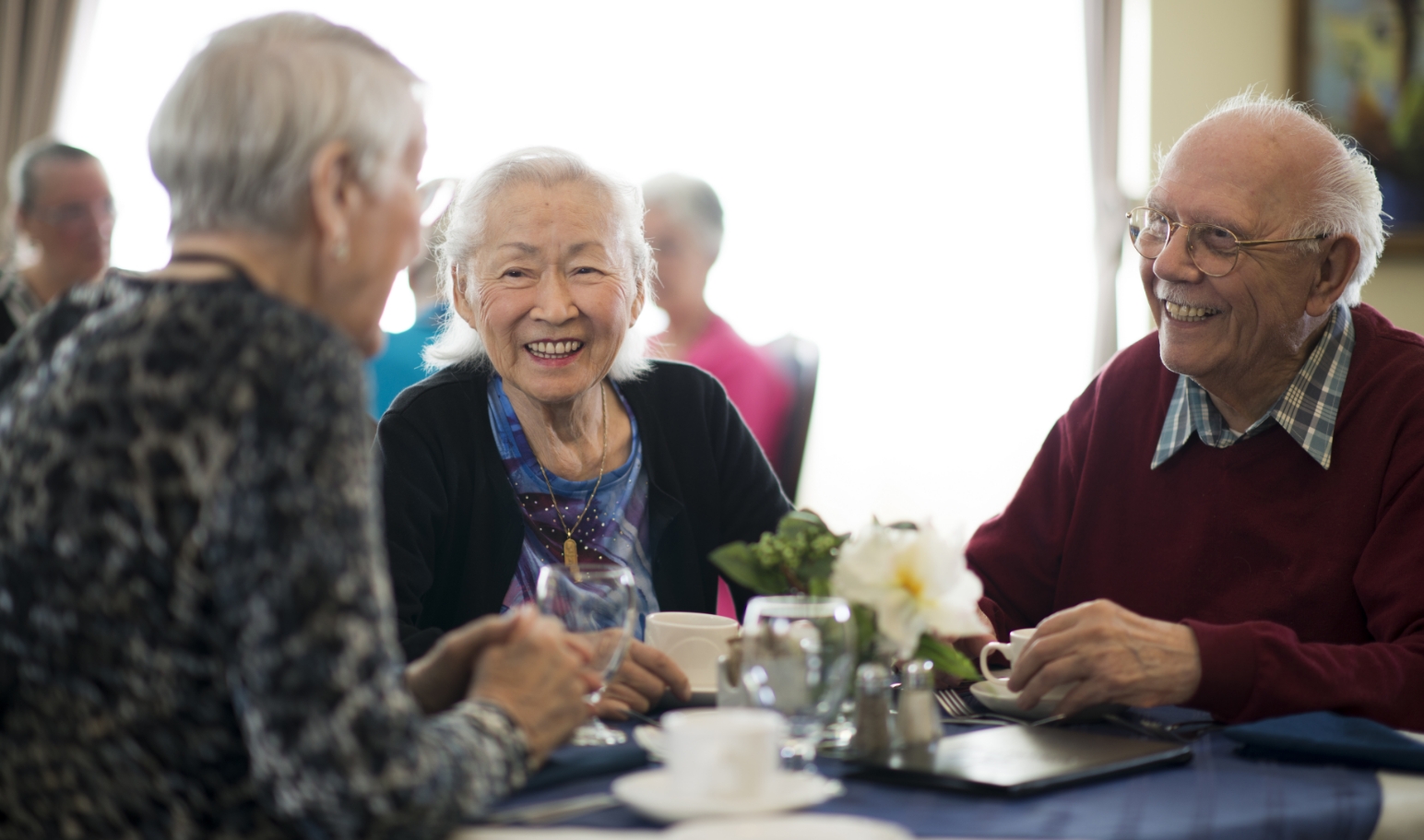 Group of seniors at a table enjoying a meal.